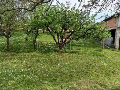 Sremska Kamenica | 4zida.rs