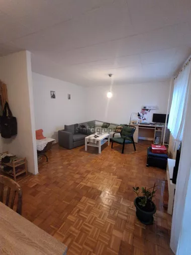 Đure Daničića