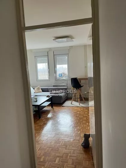 Dr Ivana Ribara | 4zida.rs