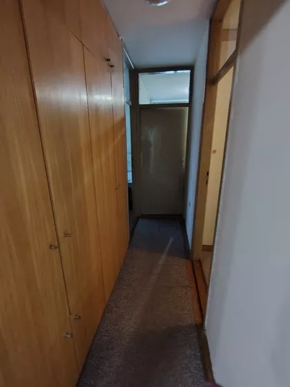 Bulevar Nemanjića | 4zida.rs