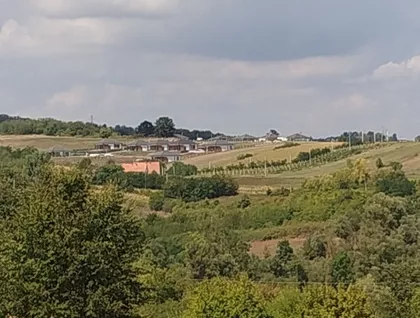 Popović | 4zida.rs