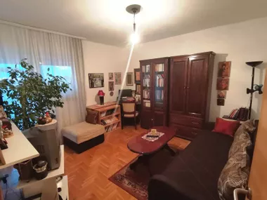 Spasenovićeva