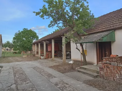 Petra Drapšina | 4zida.rs