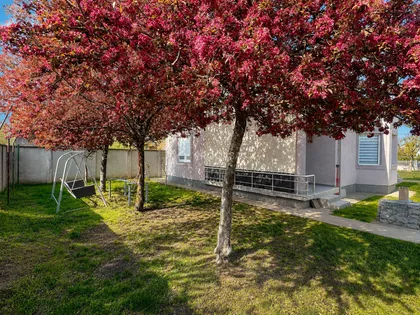 Plavi Horizonti | 4zida.rs