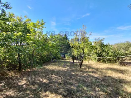 Alibegovac | 4zida.rs