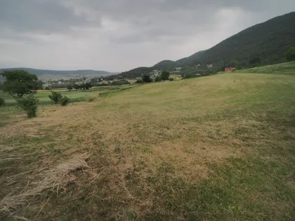 Ćirila I Metodija | 4zida.rs