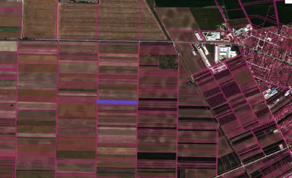 Stari Banovci | 4zida.rs