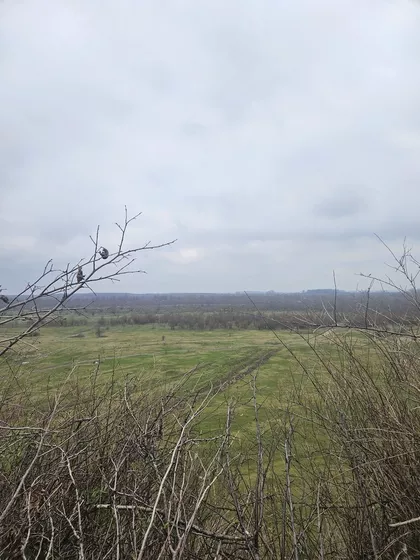 Kralja Petra Prvog | 4zida.rs