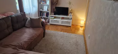 Vladimira Pogačića