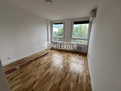 Svetozara Papića | 4zida.rs