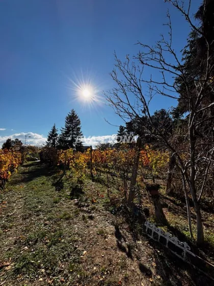 Čortanovci | 4zida.rs