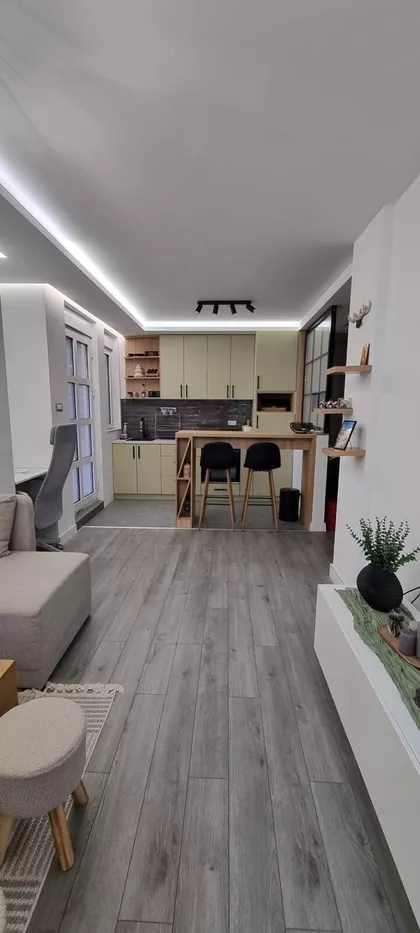 Miše Dimitrijevića | 4zida.rs