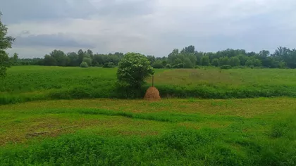 Beloševačka | 4zida.rs