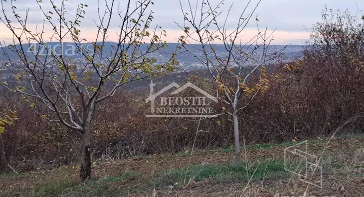 Poljoprivredno zemljište | 4zida