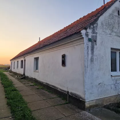 Radinački Put 217 | 4zida.rs