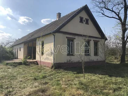 Čenej | 4zida.rs