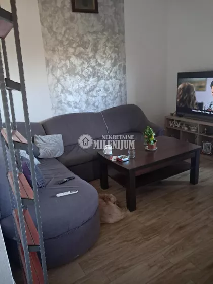 Marka Šagala | 4zida.rs