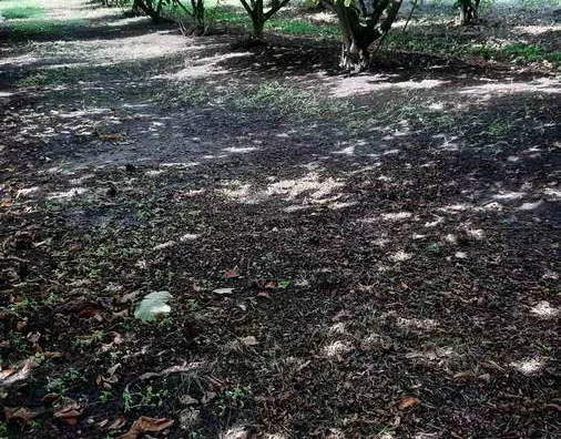 Turistički objekat | 4zida