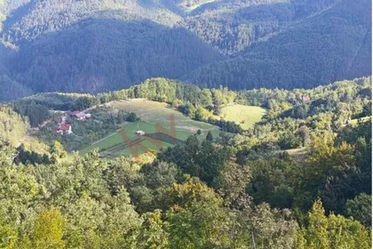 Planina Tara | 4zida.rs
