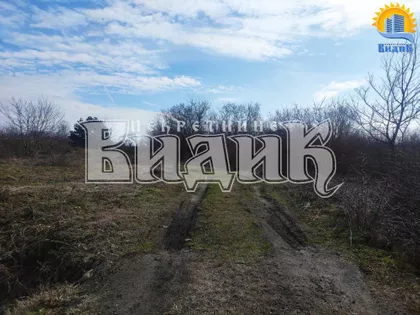 Ibarska magistrala | 4zida.rs