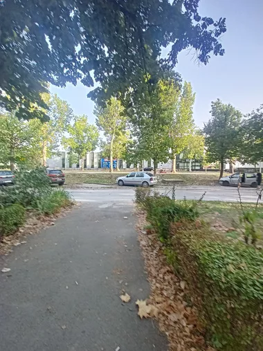 Futoški Put