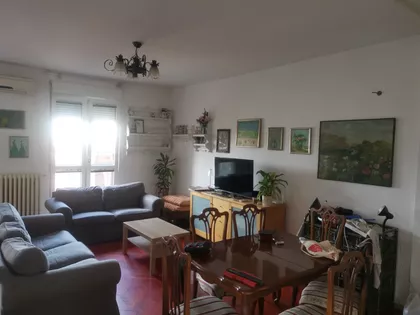 Lekino Brdo | 4zida.rs