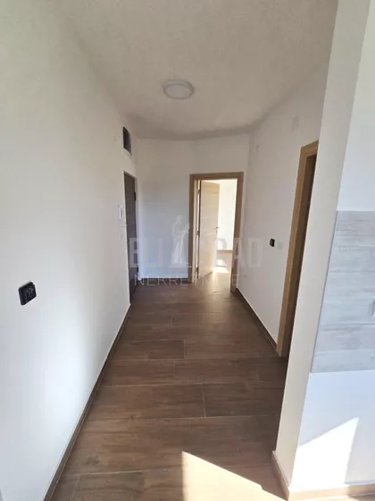 Belog narcisa | 4zida.rs