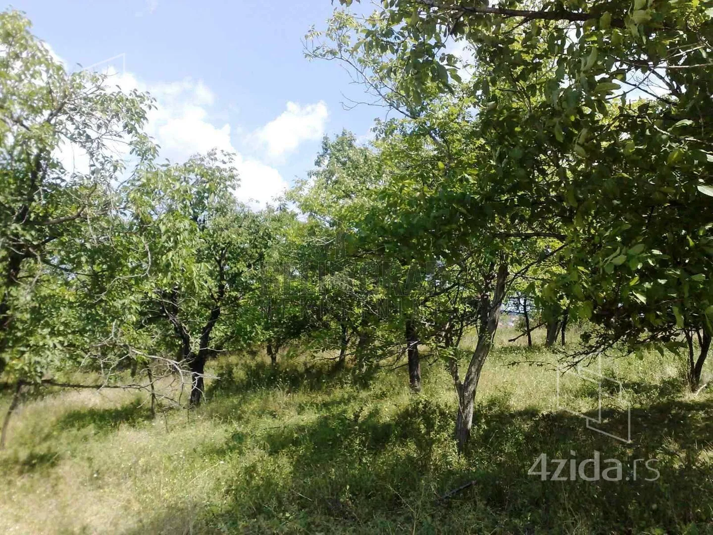 Plac | 4zida