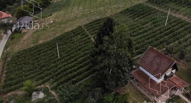 Plac | 4zida