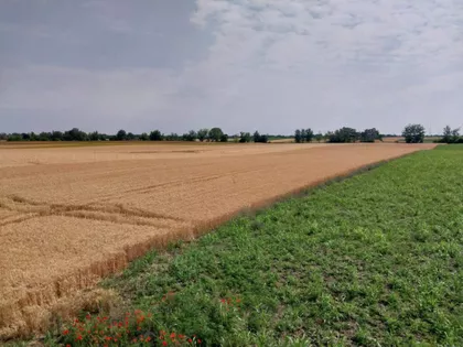 Palić | 4zida.rs