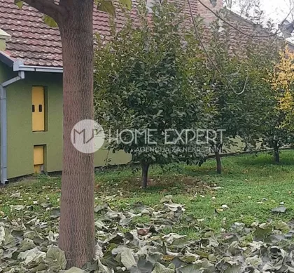 Čenej | 4zida.rs