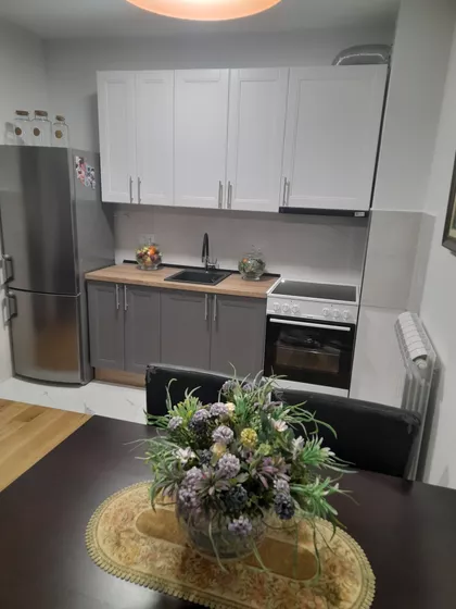 Svetozara Miletića | 4zida.rs