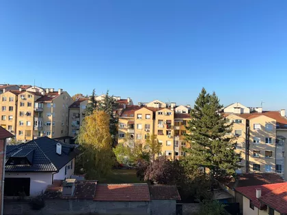 Dragoslava Srejovića | 4zida.rs