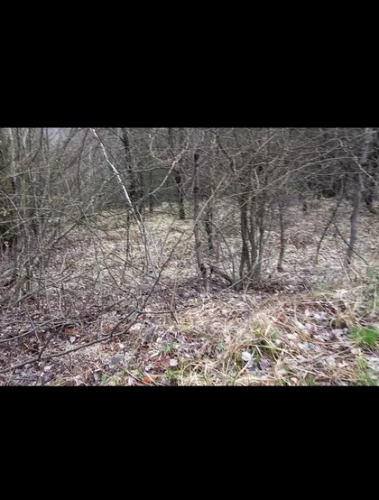 Gornja Mutnica | 4zida.rs