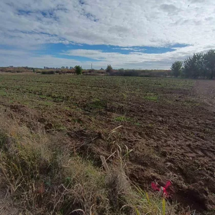 Filipa Hristića | 4zida.rs