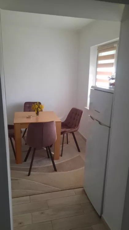 Ruža Šulman | 4zida.rs