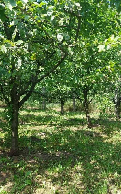 Radnička | 4zida.rs