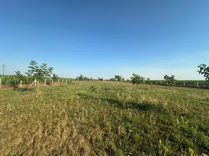Skrobara | 4zida.rs
