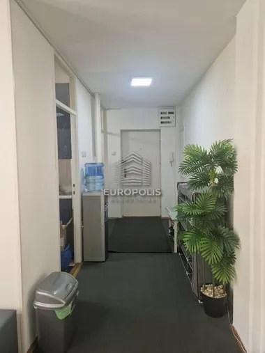 Bulevar Zorana Đinđića