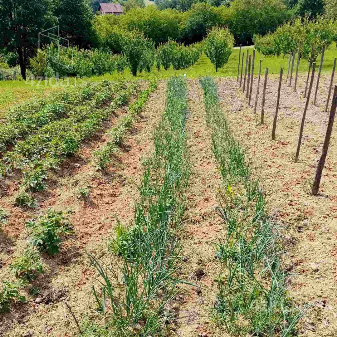 Poljoprivredno zemljište | 4zida