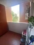 Novi Sad, Gradske lokacije, Stari Grad, Spens | 4zida.rs | 4zida.rs