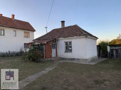 Pambukovica | 4zida.rs