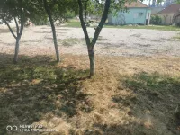 Okolne lokacije, Pančevo | 4zida.rs | 4zida.rs