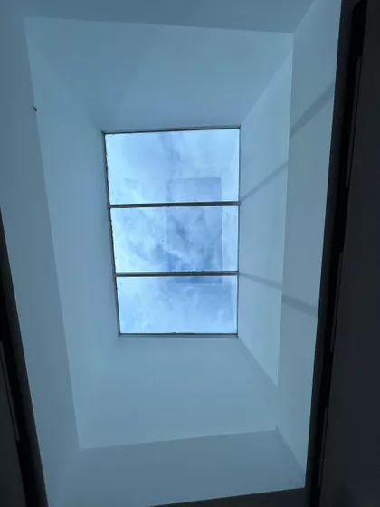 Pivljanina Baja | 4zida.rs