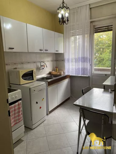 MIŠE DIMITRIJEVIĆA