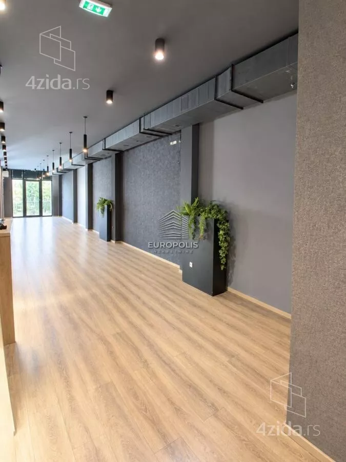 Lokal | 4zida