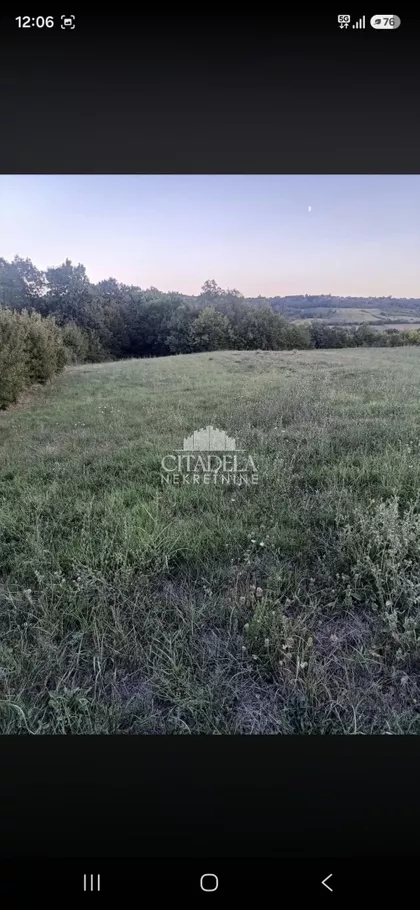 Milana Mijailovića Miće | 4zida.rs