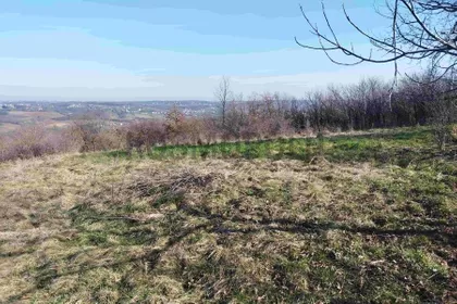 Milosava Đorića Zoke | 4zida.rs