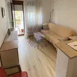 Novi Sad, Gradske lokacije, Detelinara, Nova Detelinara | 4zida.rs | 4zida.rs