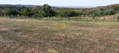 Sremska Kamenica | 4zida.rs